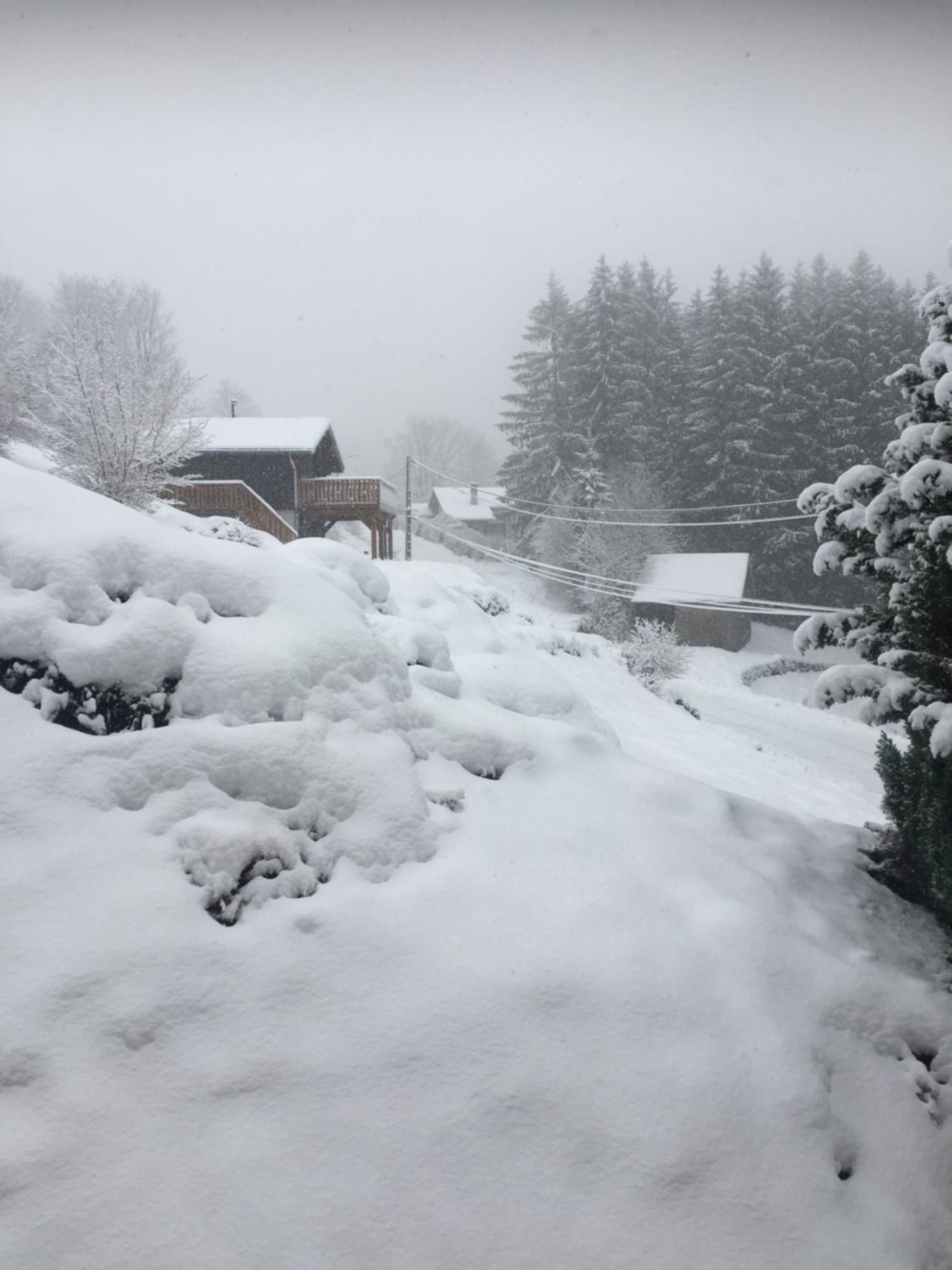 Gite Au 21 Vosgien Ventron Exterior foto